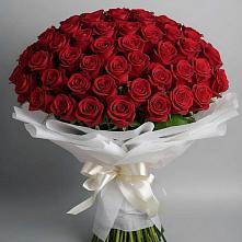 Букет 101 Красная роза Блэк Мэджик в Наурской