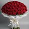 101 Красная роза Блэк Мэджик в Наурской Букет 101 Красная роза Блэк Мэджик в Наурской