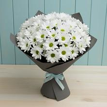 Букет белые хризантемы в Наурской Букет цветов из:  Хризантемы в Наурской
