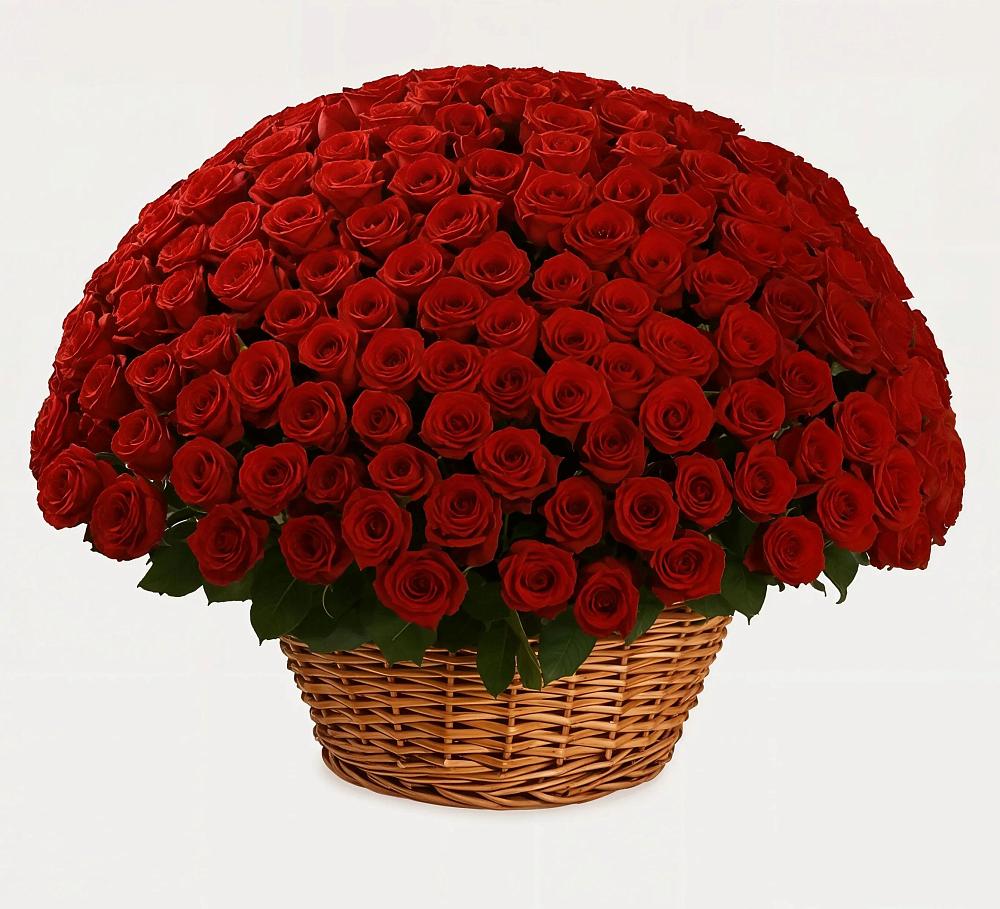 251 Премиум красная роза в Наурской Премиум букет из: Розы в Наурской