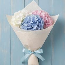 Букет Нежная гортензия в Наурской Букет цветов из:  Гортензия в Наурской