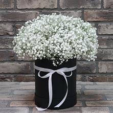 Композиция коробка гипсофил в Наурской Цветочная композиция из Гипсофила в шляпной коробке в Наурской