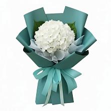 Букет Лёгкое облако в Наурской Букет цветов из:  Гортензия в Наурской